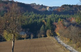 Blick zur Ruine Merkenstein, © Foto: Johann Ployer