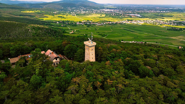 "Harzberg Buam" und Harzbergturm, © Sascha Schernthaner